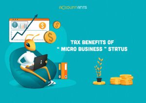 Tax benefits of “Micro Business” status in Georgia